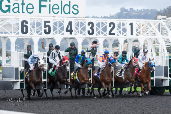 Horse racing at Golden Gate Fields