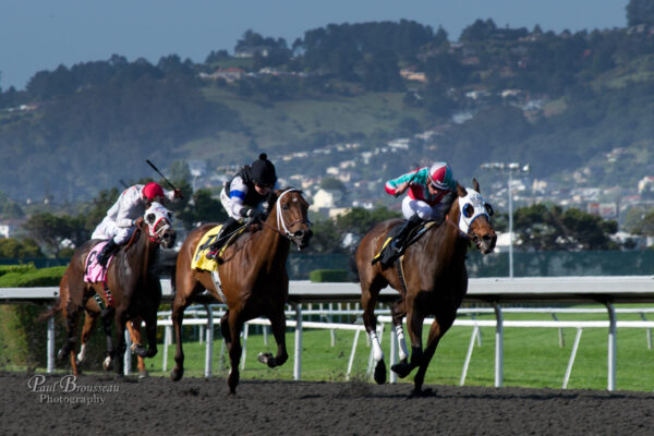 Horse racing at Golden Gate Fields